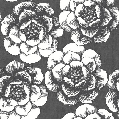 Brewster Wallcovering Fanciful Black Floral Wallpaper Black