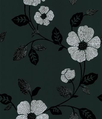 Brewster Wallcovering Poppy Black Modern Floral Black
