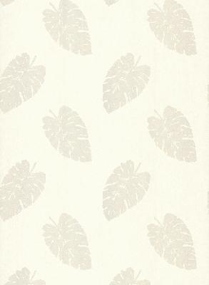 Brewster Wallcovering Paume Champagne Banana Leaf Champagne