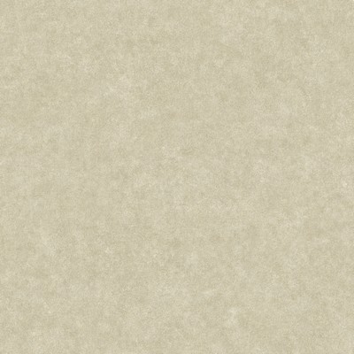 Brewster Wallcovering Duchamp Champagne Metallic Texture Wallpaper Champagne