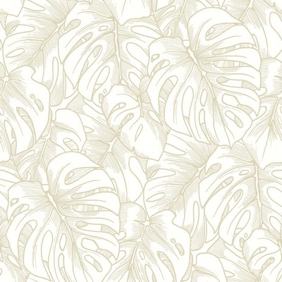 Brewster Wallcovering Balboa Gold Botanical Wallpaper Gold
