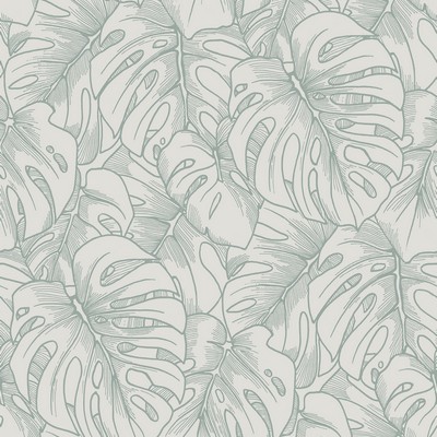 Brewster Wallcovering Balboa Olive Botanical Wallpaper Olive