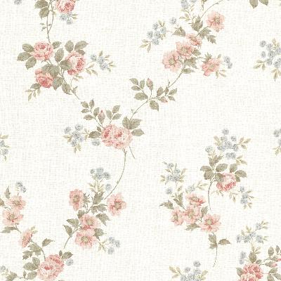 Brewster Wallcovering Blossom Salmon Floral Trail Salmon