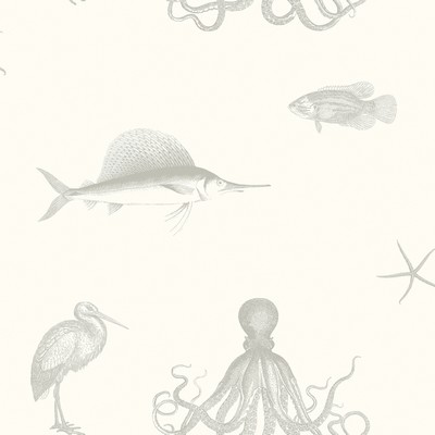 Brewster Wallcovering Oceania Grey Sea Creature Wallpaper Grey