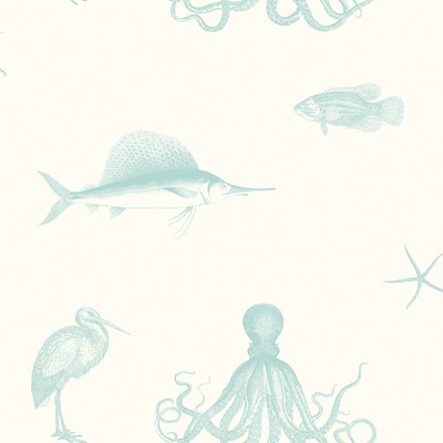 Brewster Wallcovering Oceania Aqua Sea Creature Wallpaper Aqua