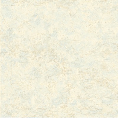 Brewster Wallcovering Canaveral Wheat Nautical Chart Wallpaper Wheat