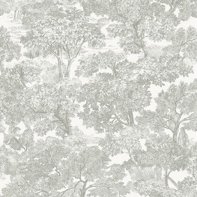 Brewster Wallcovering Spinney Grey Toile Wallpaper Grey