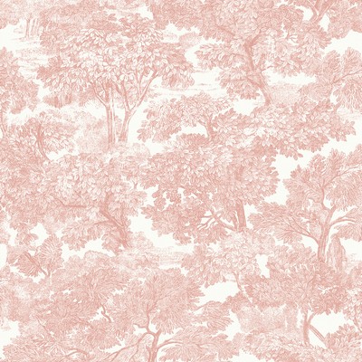 Brewster Wallcovering Spinney Rose Toile Wallpaper Rose