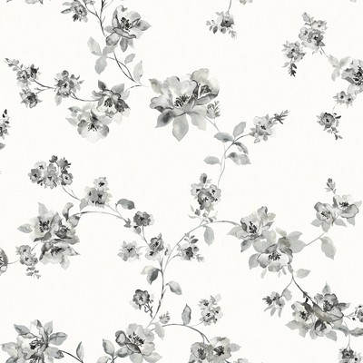 Brewster Wallcovering Cyrus Black Floral Wallpaper Black