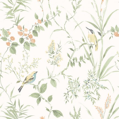 Brewster Wallcovering Imperial Garden Light Green Botanical Wallpaper Light Green