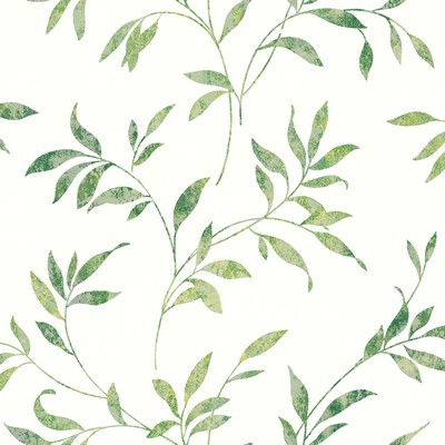 Brewster Wallcovering Sanibel Green Trail Wallpaper Green