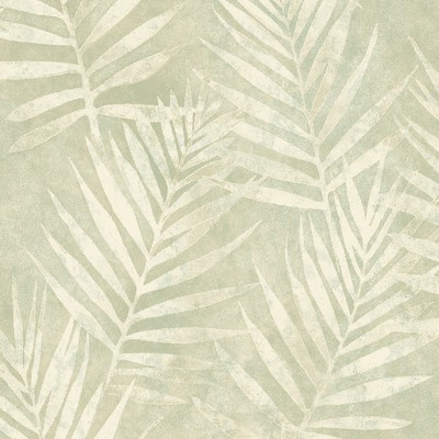 Brewster Wallcovering Amador Olive Palm Wallpaper Olive