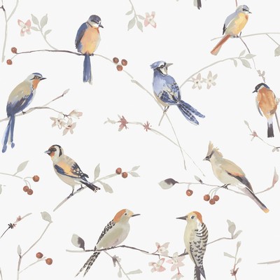 Brewster Wallcovering Birdsong Orange Trail Wallpaper Orange