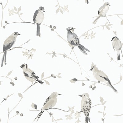 Brewster Wallcovering Birdsong Grey Trail Wallpaper Grey