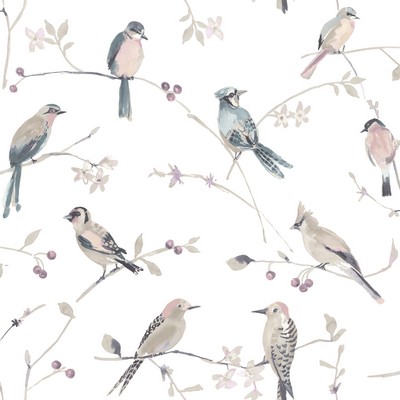 Brewster Wallcovering Birdsong Mauve Trail Wallpaper Mauve