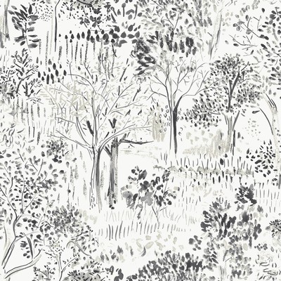 Brewster Wallcovering Walden Black Forest Wallpaper Black