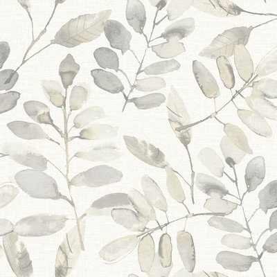 Brewster Wallcovering Pinnate Taupe Leaves Wallpaper Taupe