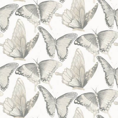 Brewster Wallcovering Janetta Grey Butterfly Wallpaper Grey