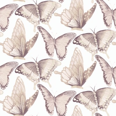 Brewster Wallcovering Janetta Blush Butterfly Wallpaper Blush