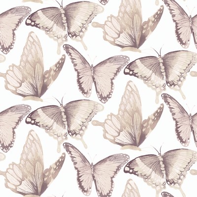 Brewster Wallcovering Janetta Blush Butterfly Wallpaper Blush