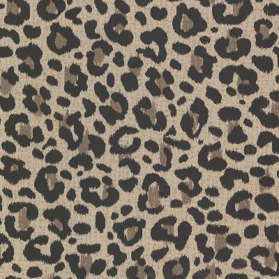Brewster Wallcovering Talamanca Brown Abstract Leopard Brown