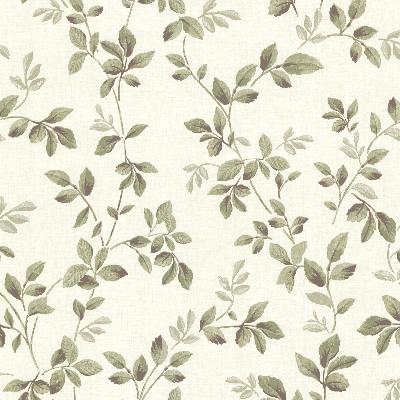 Brewster Wallcovering Cleo Off-White Dog Rose Leaf Trail Off-White