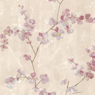 Brewster Wallcovering Chapman Pink Cherry Blossom Trail Pink