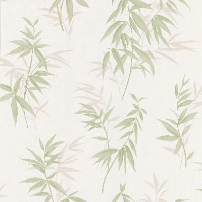 Brewster Wallcovering Oates Green Bamboo Leaf Texture Green