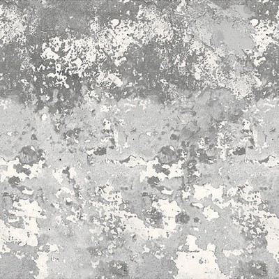 Brewster Wallcovering Rough & Rugged Grey Graphic Wall Mural Grey