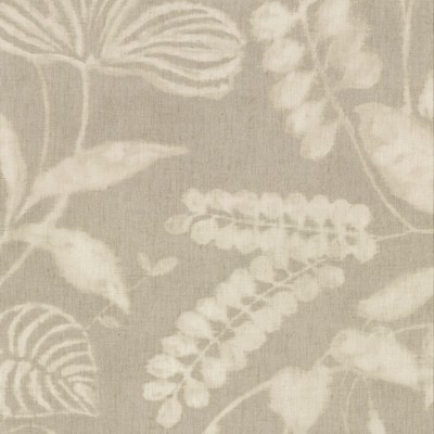 Brewster Wallcovering Arvada Light Grey Botanical Wallpaper Light Grey