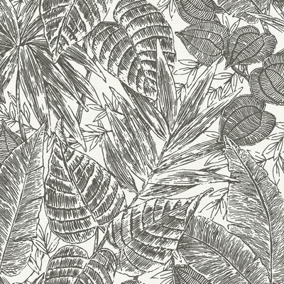 Brewster Wallcovering Brentwood Black Palm Leaves  Black