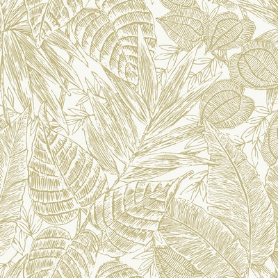 Brewster Wallcovering Brentwood Yellow Palm Leaves  Yellow