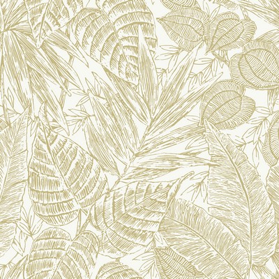 Brewster Wallcovering Brentwood Yellow Palm Leaves  Yellow