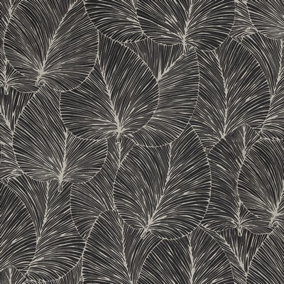 Brewster Wallcovering Eilian Black Palm Wallpaper Black