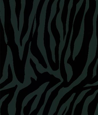 Brewster Wallcovering Congo Black Zebra Black