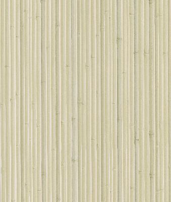 Brewster Wallcovering Kyoto Light Grey Bamboo Light Grey