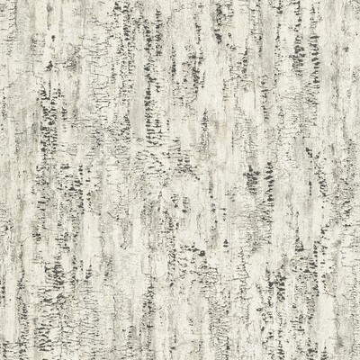 Brewster Wallcovering Colm Charcoal Birch Wallpaper Charcoal
