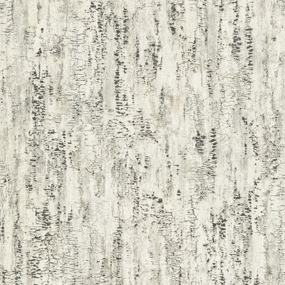 Brewster Wallcovering Colm Charcoal Birch Wallpaper Charcoal