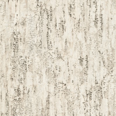 Brewster Wallcovering Colm Beige Birch Wallpaper Beige