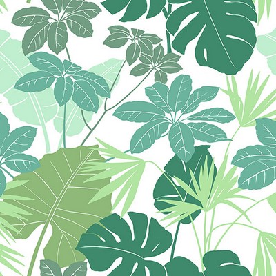 Brewster Wallcovering Medellin Green Rainforest Floor Wallpaper Green