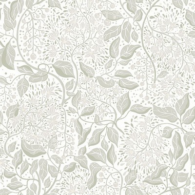 Brewster Wallcovering Turi Sage Twining Vines Wallpaper Sage
