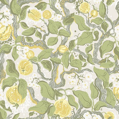 Brewster Wallcovering Kort Yellow Fruit and Floral Wallpaper Yellow