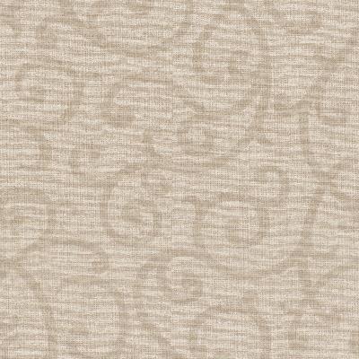 Brewster Wallcovering Silhouette Champagne Vine Champagne