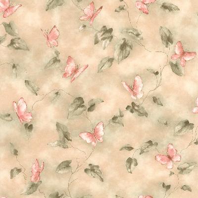 Brewster Wallcovering Anisota Green Butterfly Trail Green