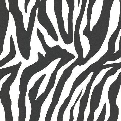 Brewster Wallcovering Zebbie White Zebra Print White
