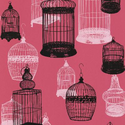 Brewster Wallcovering Avian Pink Bird Cages Pink