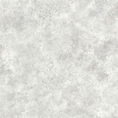 Brewster Wallcovering January Silver Distressed Texture Silver