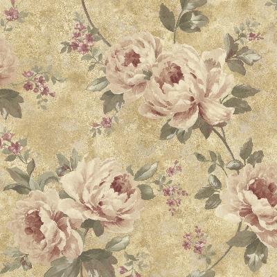 Brewster Wallcovering Pandora Gold Peony Trail Gold