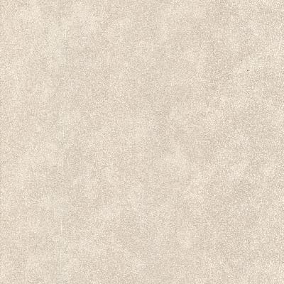 Brewster Wallcovering Rhizome Light Grey Leather Texture Light Grey