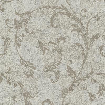 Brewster Wallcovering Milton Taupe Shimmer Scroll Taupe